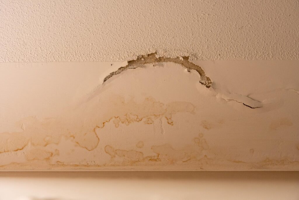 Interior Painting Problems