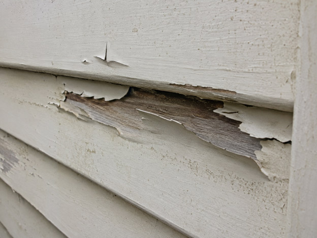 Paint delamination along weatherboard edge — Highton Geelong exterior painting inspection by Fairhaven Painting